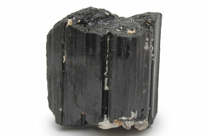 Lustrous Black Tourmaline (Schorl) Crystal - Madagascar #217280